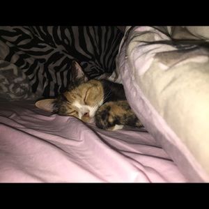 Meet your Posher, Meghan